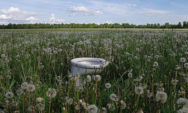 Strange Photos From Russia (38 pics)