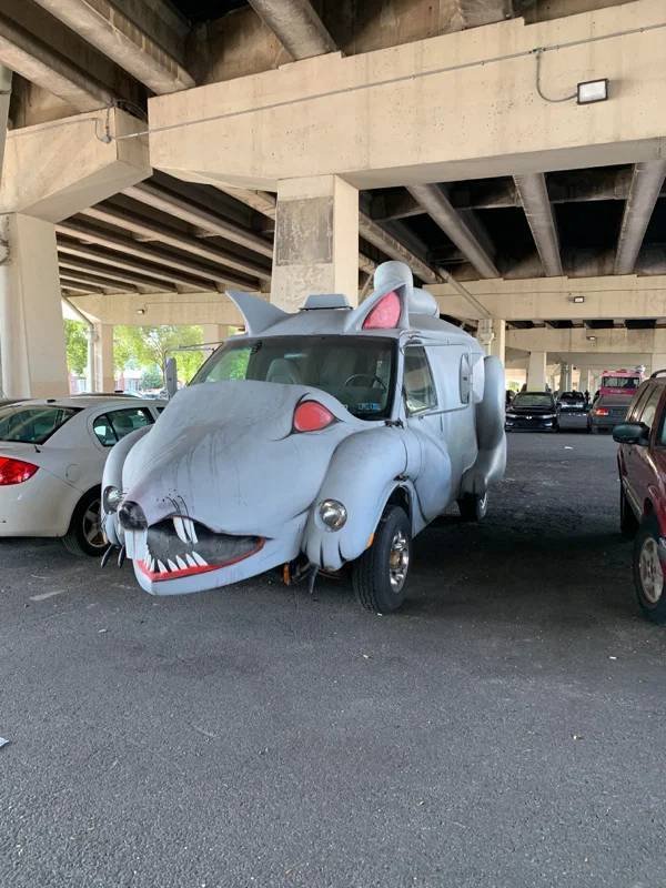 Odd Finds (46 pics)
