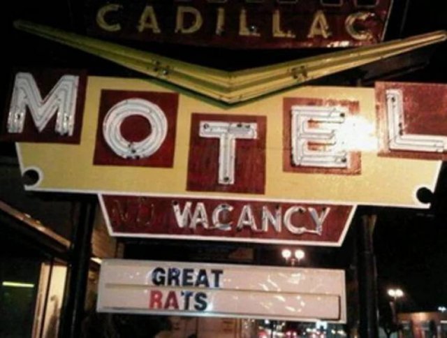 Odd Finds (46 pics)
