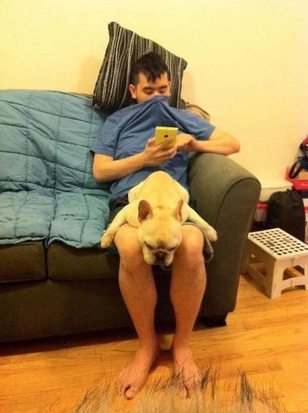 They Can Sleep Anywhere (45 pics)