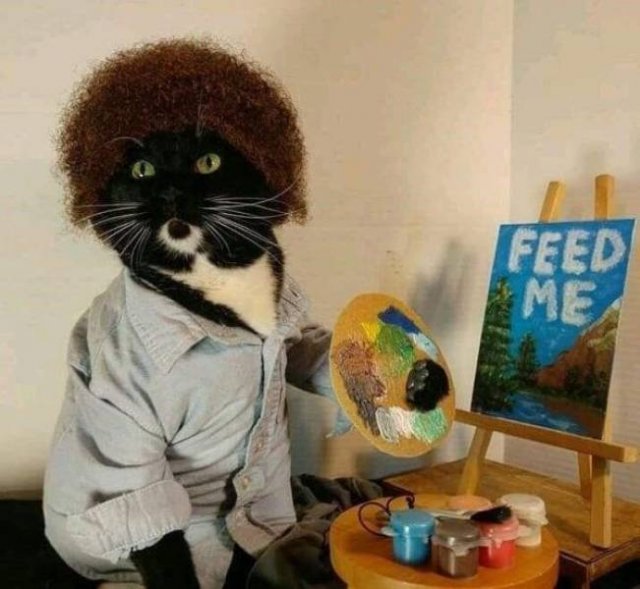 Funny Animals (45 pics)