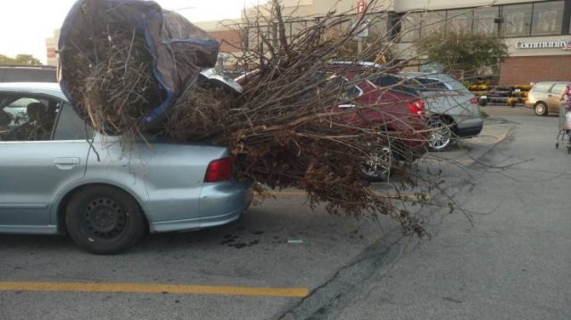 Strange Finds And Situations (50 pics)
