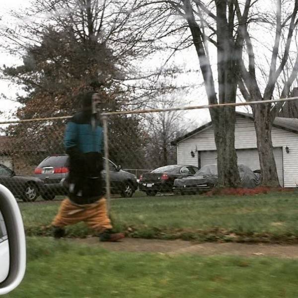 What Is Going On Here? (54 pics)