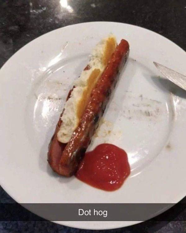 What Is Going On Here? (54 pics)