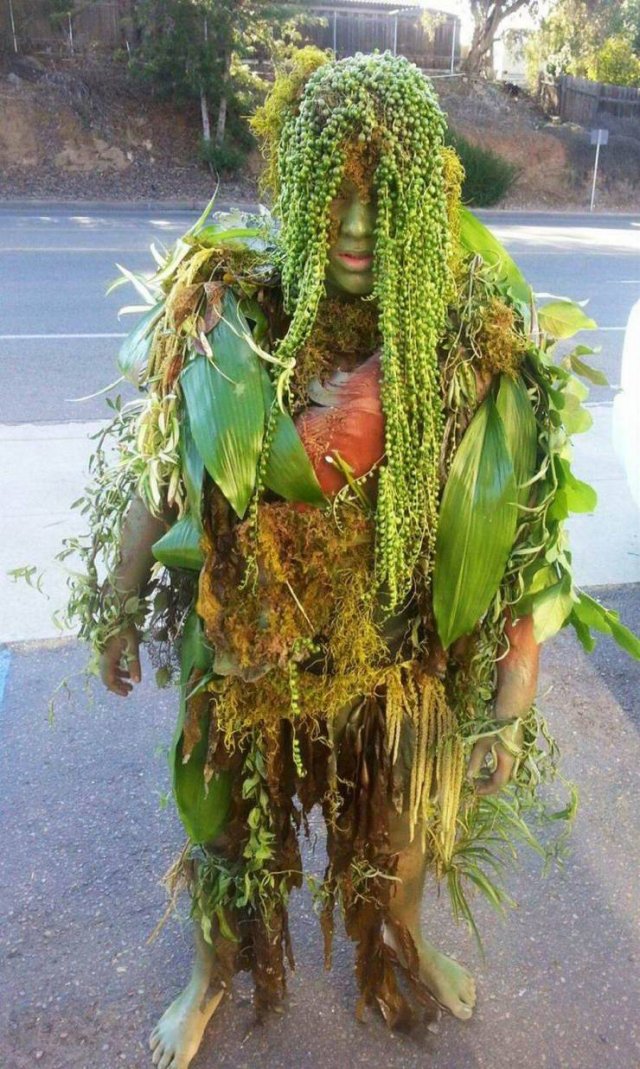 Strange Finds And Situations (50 pics)