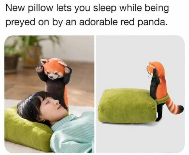 Cool And Unusual Finds (20 pics)