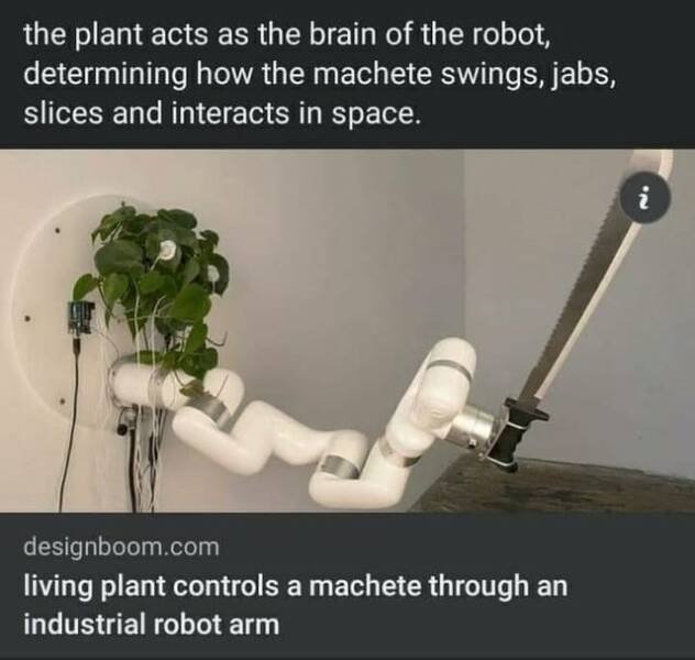 Cool And Unusual Finds (20 pics)