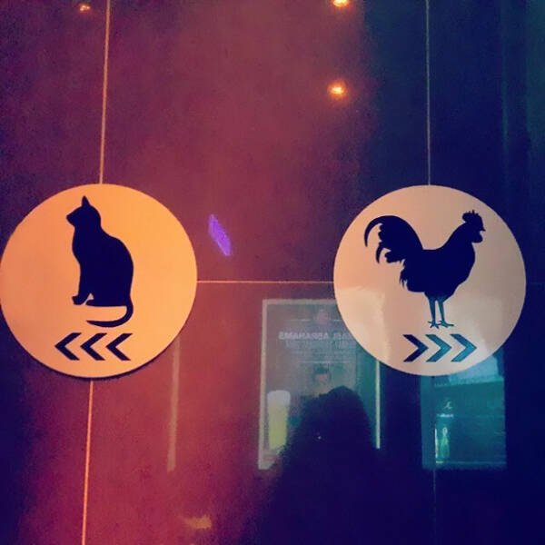 Funny Signs (23 pics)