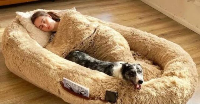 Cool And Unusual Finds (20 pics)