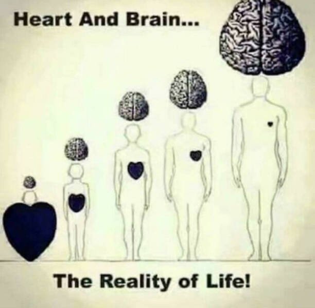 Truthful Thoughts (28 pics)