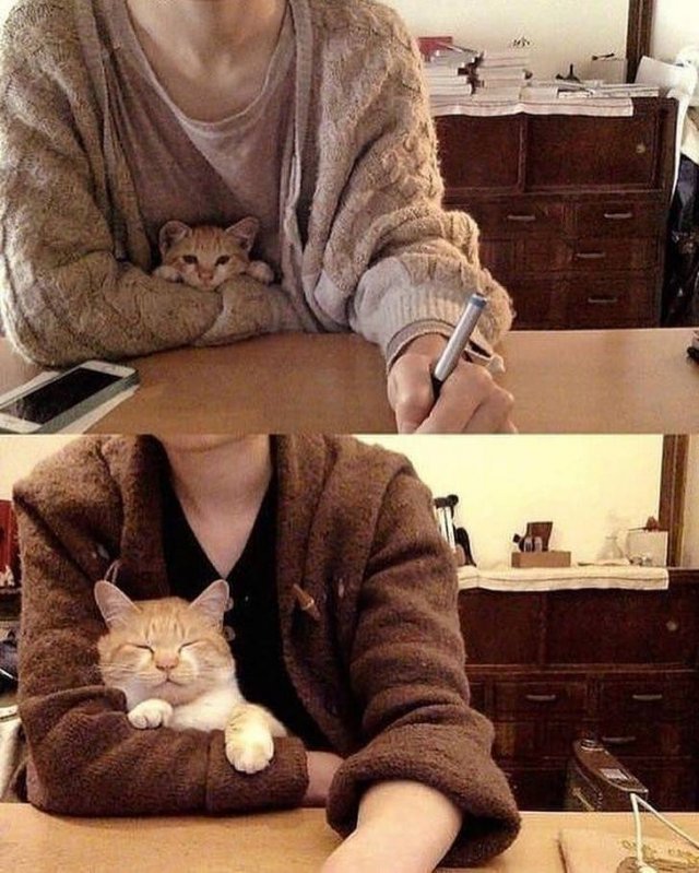 They Have Feelings Too (19 pics)