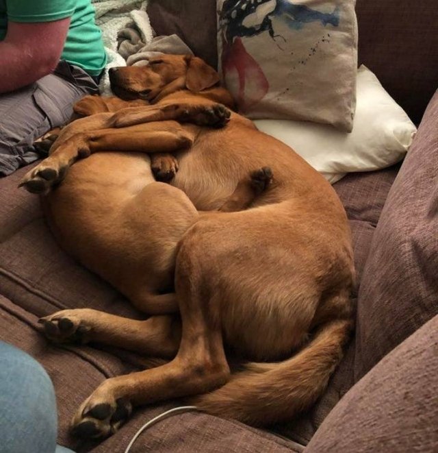 They Have Feelings Too (19 pics)