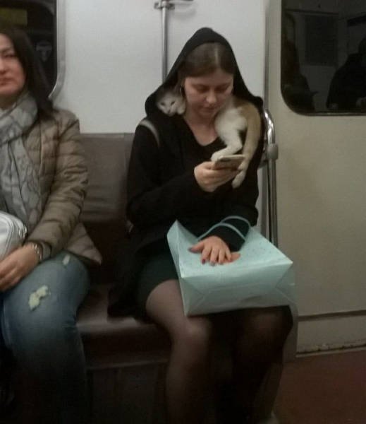 Strange Photos From Russia (41 pics)