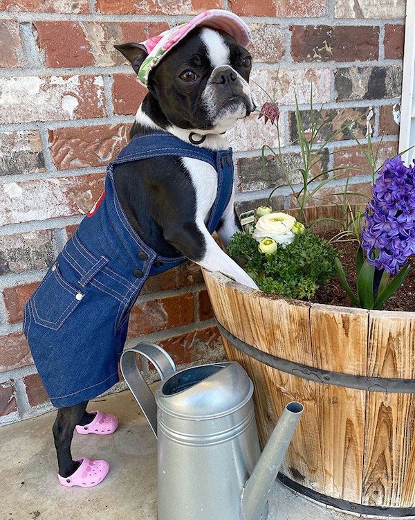 Cute And Funny Animals (50 pics)