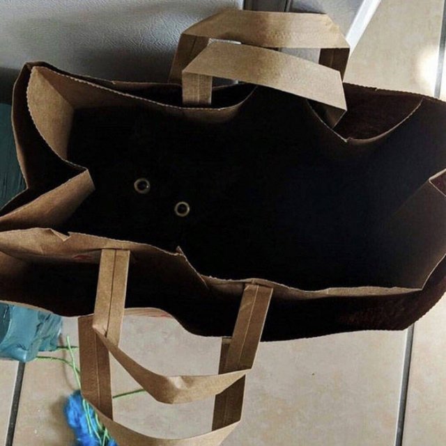 Black Cats Are Fantastic (40 pics) Black Cats Are Fantastic (40 pics)
