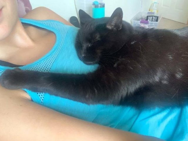 Black Cats Are Fantastic (40 pics) Black Cats Are Fantastic (40 pics)