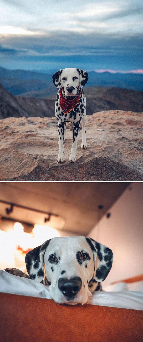 Animals With Unusual Colors (28 pics)