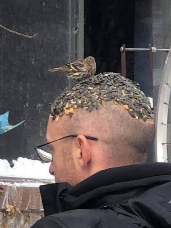 What Is Going On Here? (40 pics)