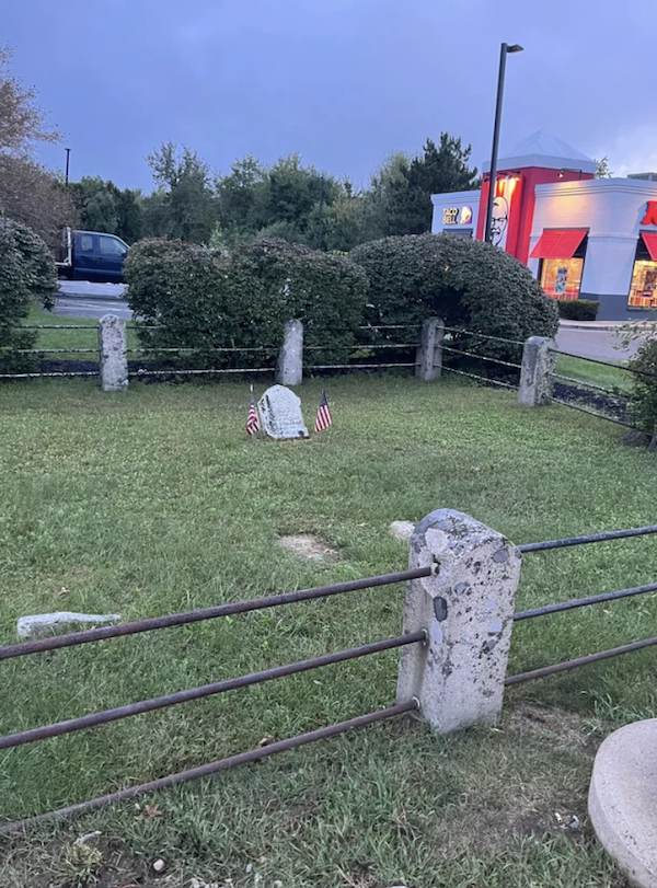 What Is Going On Here? (40 pics)