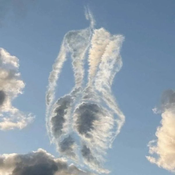What Is Going On Here? (29 pics)
