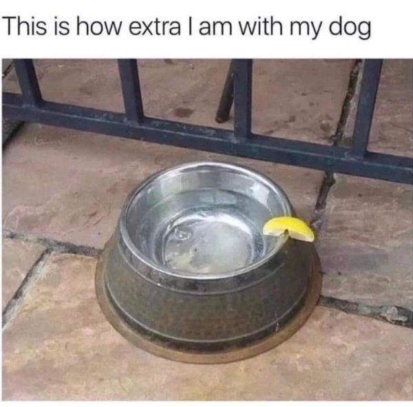 Funny Memes (24 pics)