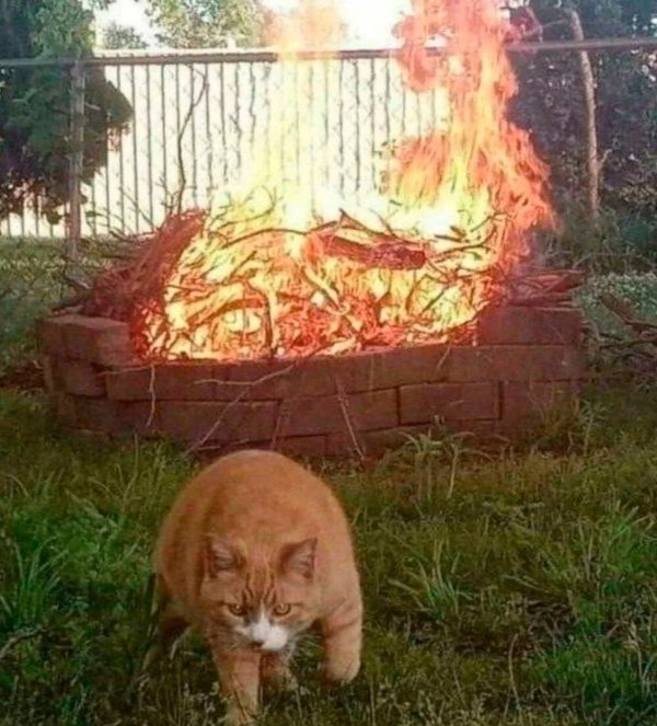 What Is Going On Here? (29 pics)