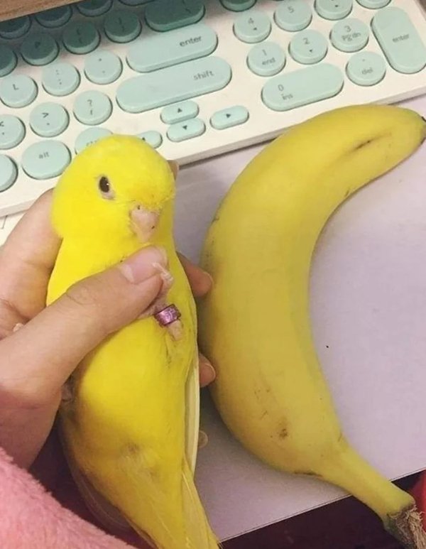 What Is Going On Here? (29 pics)