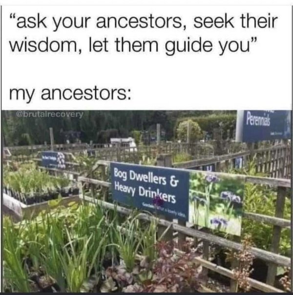 Funny Memes (24 pics)