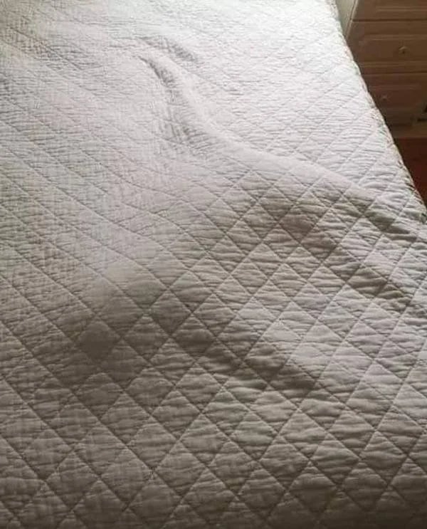 What Is Going On Here? (29 pics)