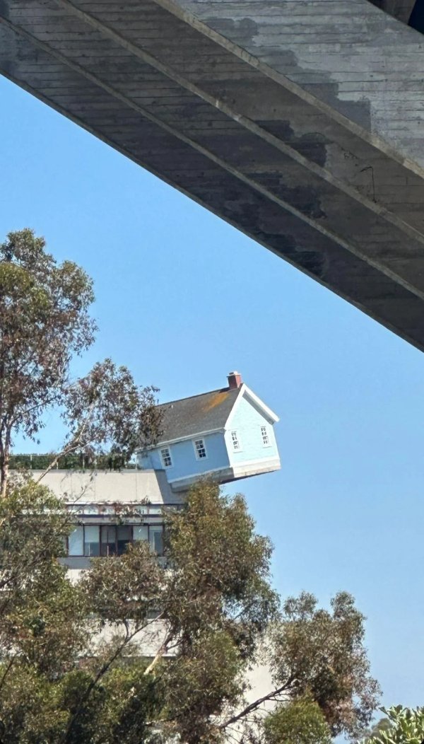 What Is Going On Here? (29 pics)