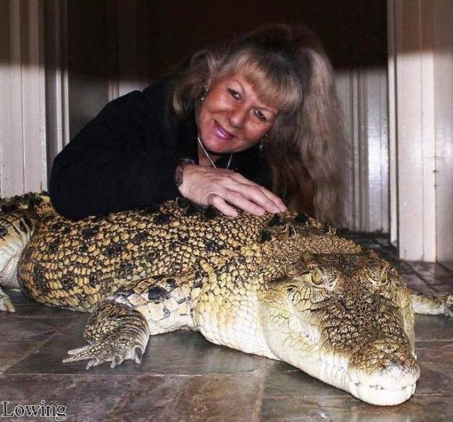 People Share Their Unusual Pets (23 pics)