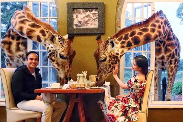 People Share Their Unusual Pets (23 pics)