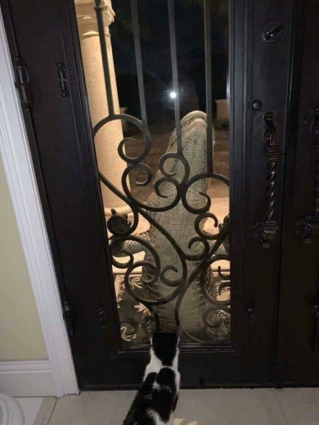 Weird And Creepy Finds And Situations (43 pics)