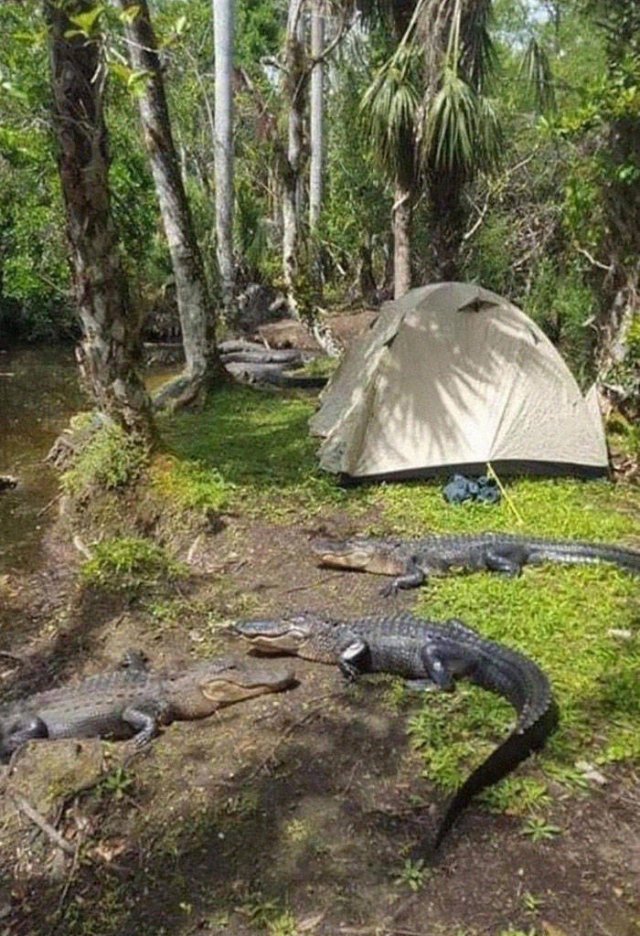 Weird And Creepy Finds And Situations (43 pics)