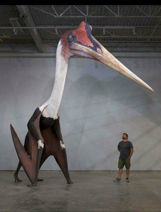 Weird And Creepy Finds And Situations (43 pics)
