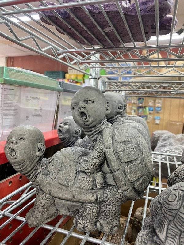Weirds Things (44 pics)