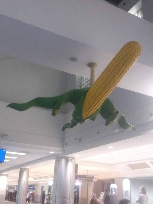 Weirds Things (44 pics)