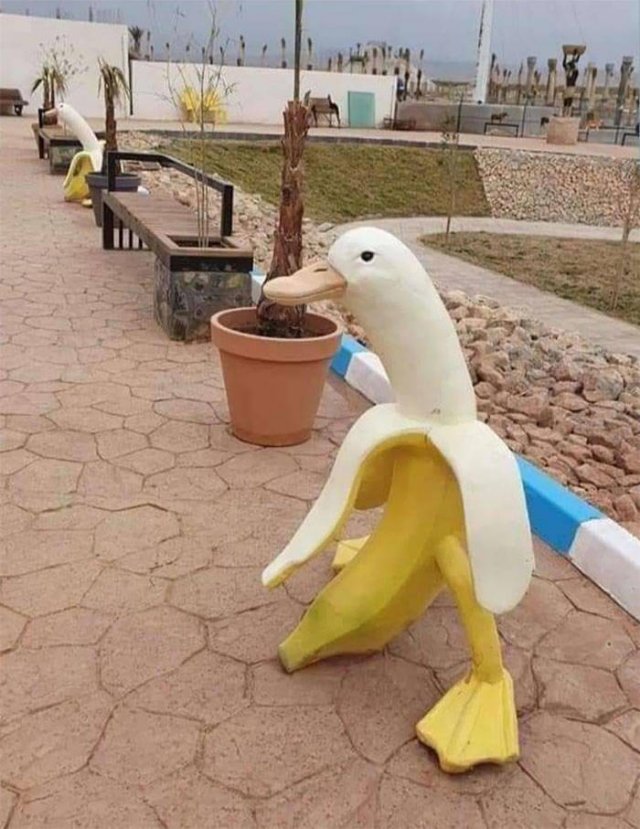 Weird And Creepy Finds And Situations (43 pics)