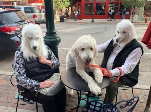 Weirds Things (44 pics)