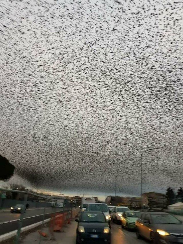 Weird And Creepy Finds And Situations (43 pics)