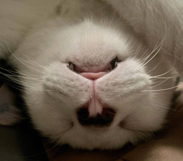 Interesting Optical Illusions (40 pics) Interesting Optical Illusions (40 pics)