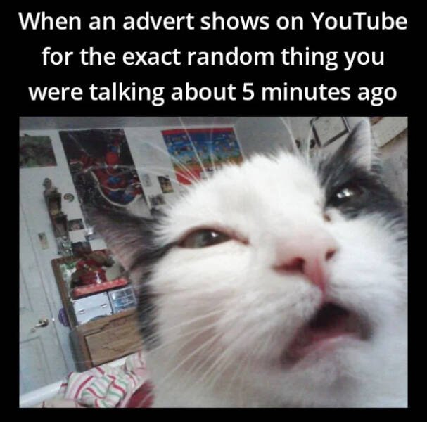 Funny Memes (24 pics)