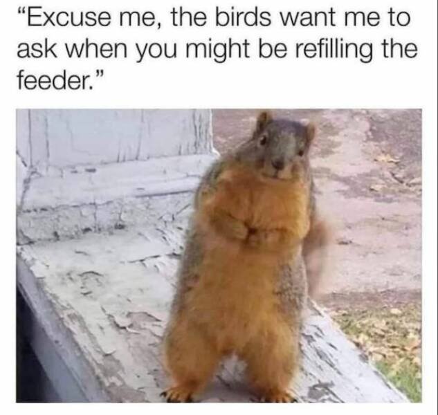 Funny Memes (24 pics)