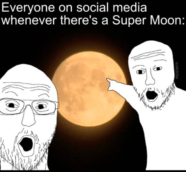 Funny Memes (24 pics)