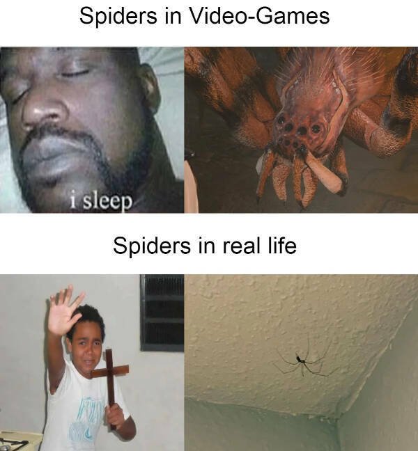 Funny Memes (24 pics)