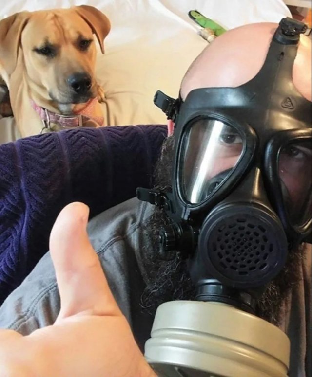Funny And Cute Dogs (26 pics)