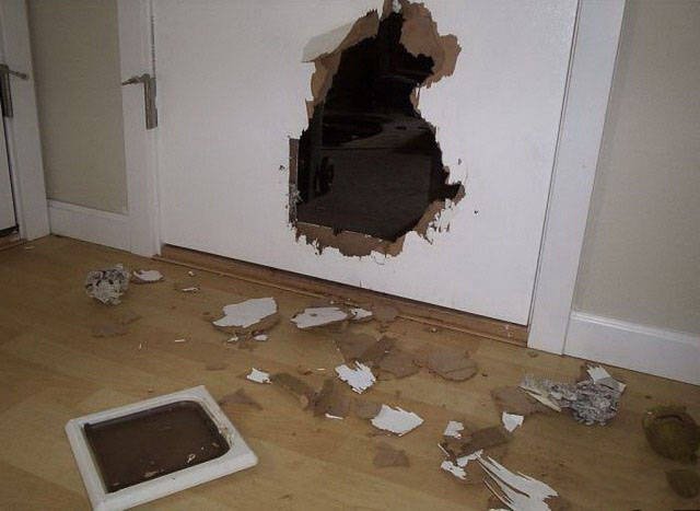 Strange Finds And Situations (46 pics)