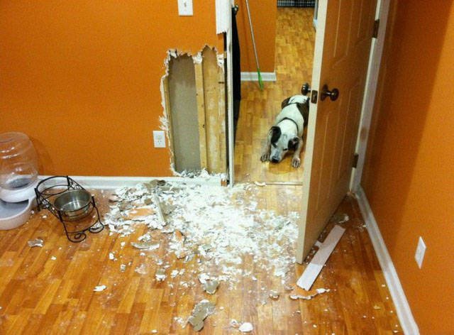 Strange Finds And Situations (46 pics)