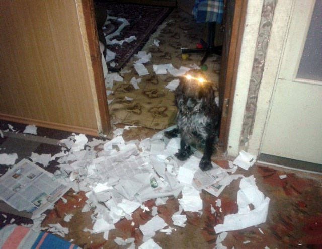 Strange Finds And Situations (46 pics)