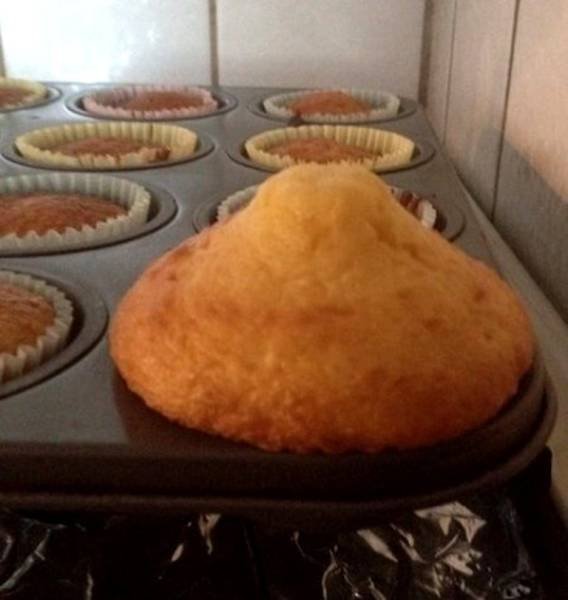Strange Finds And Situations (46 pics)